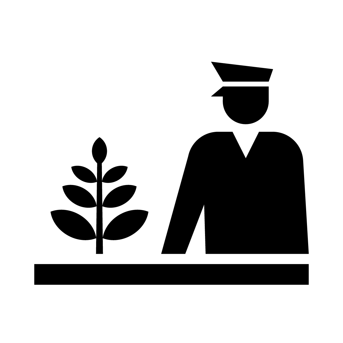 植物檢疫 圖標縮圖