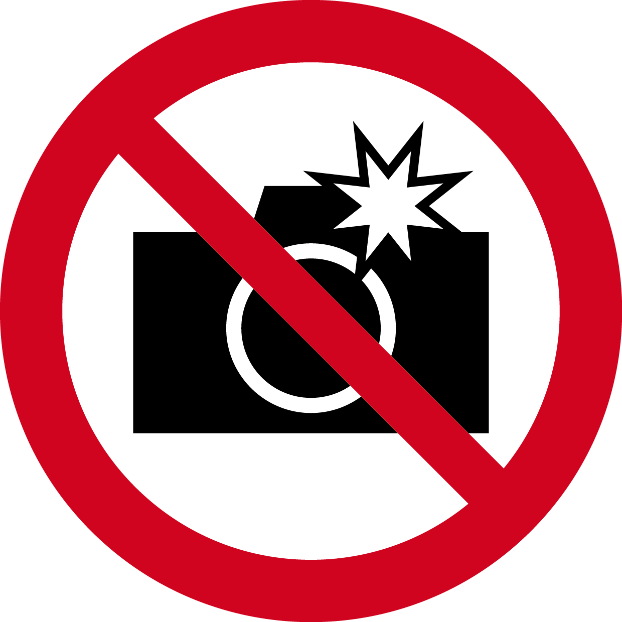 禁用閃光燈 圖標縮圖